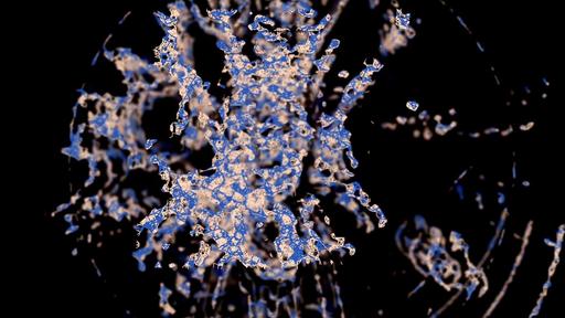 excerpt of Ode à la fin du monde