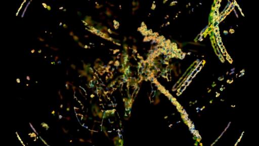 excerpt of Ode à la fin du monde