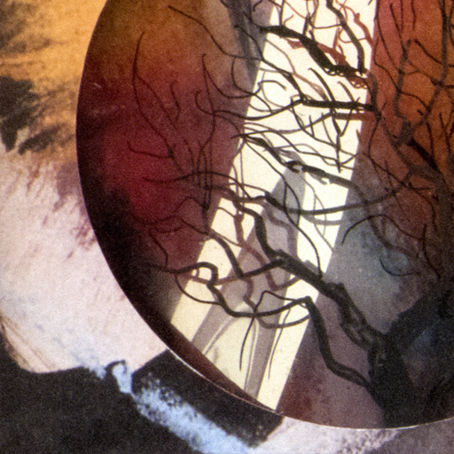 preview of RgGaud:: Cineportrait